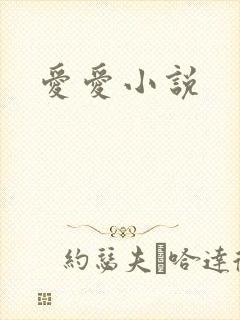 爱爱小说