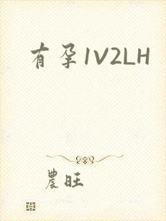 有孕1V2LH
