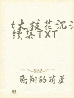 t大校花沉浮录续集TXT