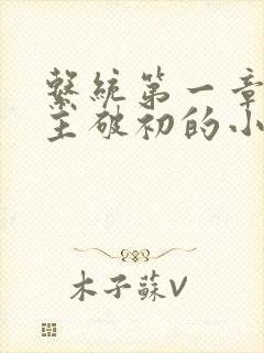 系统第一章给宿主破初的小说封面