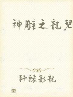 神雕之龙儿别传封面