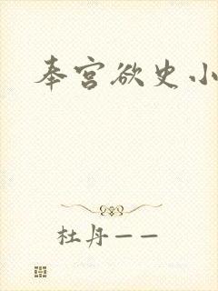 奉宫欲史小说封面