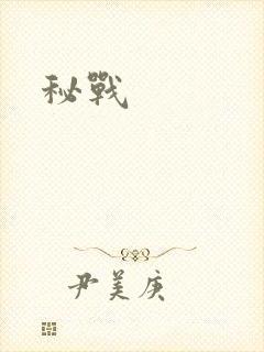秘战封面