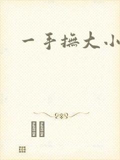 一手抚大小说封面