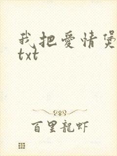我把爱情煲成汤txt