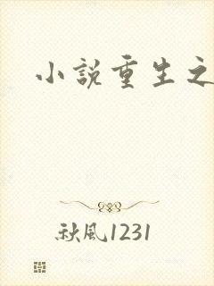 小说重生之官道