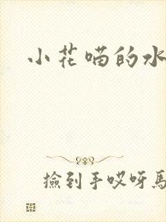 小花喵的水蜜桃