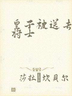 皇子被送去犒劳将士