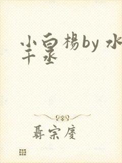 小白杨by 水千丞封面