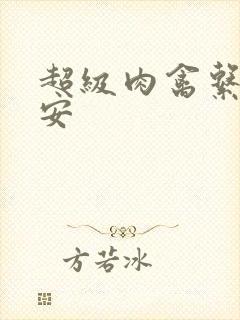 超级肉禽系统保安封面