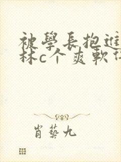 被学长抱进小树林c个爽软件封面