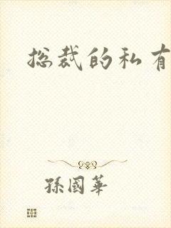 总裁的私有宝贝封面