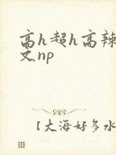 高h超h高辣h文np