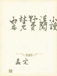 山林野汉小说全篇免费阅读封面