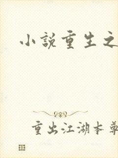 小说重生之官道封面