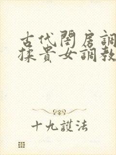 古代闺房调教h揉贵女调教记封面