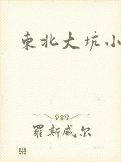 东北大坑小说封面