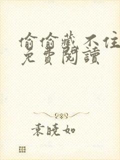 偷偷藏不住小说免费阅读