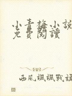 小青梅小说全文免费阅读