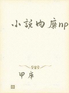 小说肉糜np