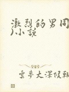 激烈的男同(h)小说