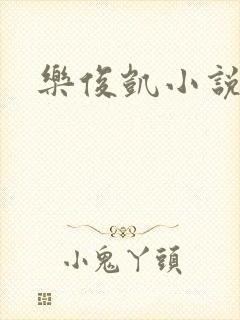 乐俊凯小说封面