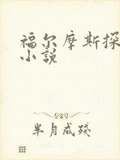 福尔摩斯探案集小说封面