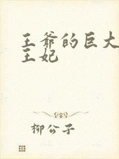 王爷的巨大进入王妃