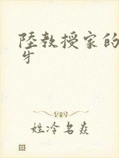 陆教授家的小月牙封面