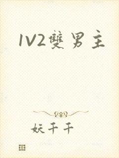 1V2双男主
