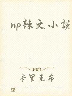 np辣文小说