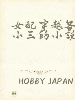 女配穿越各个做小三的小说