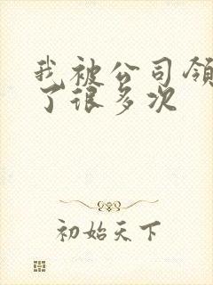 我被公司领导C了很多次封面