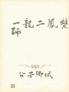 一龙二凤双飞老师