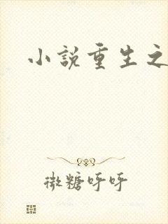 小说重生之官道