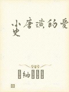 小唐璜的爱情历史