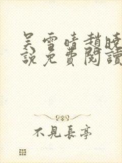 吴雪晴赵晓东小说免费阅读封面