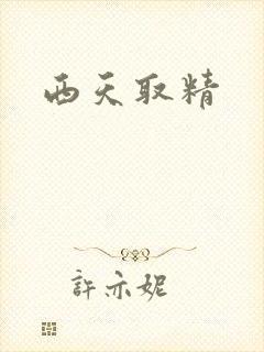 西天取精封面