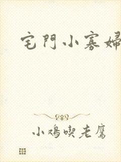宅门小寡妇