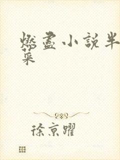 燃尽小说半截白菜