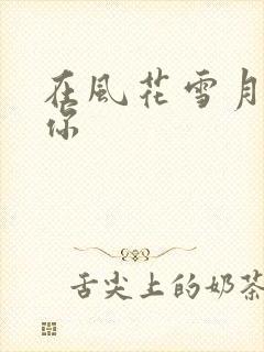 在风花雪月里等你