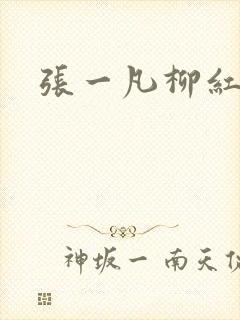 张一凡柳红