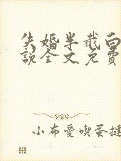 失婚半截白菜小说全文免费阅读