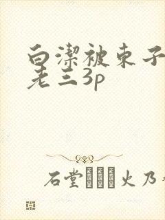 白洁被东子老二老三3p