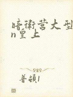 暗卫营大型hpn皇上