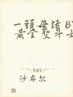 一头母猪 BY 黄金圣斗士