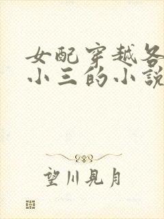 女配穿越各个做小三的小说