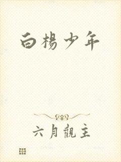 白杨少年