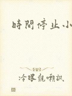 时间停止小说封面