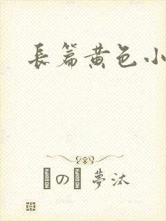 长篇黄色小说封面